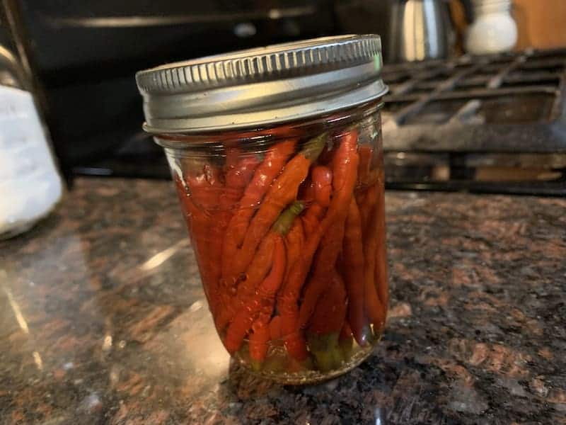 red chili peppers fermenting in mason jar