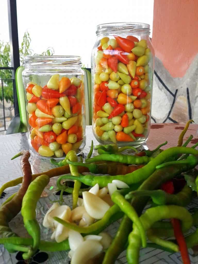 two glass jars with peppers with garlic and other peppers around it