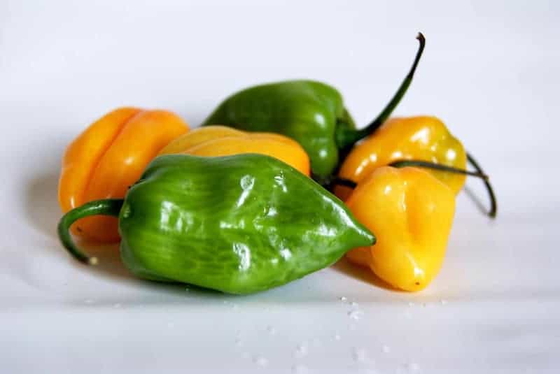 green and yellow habanero peppers