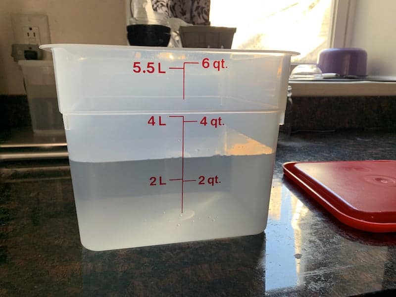 cambro container 6 quarts filled part way with water on kitchen counter