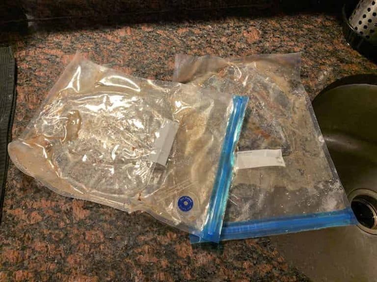 Help! My Sous Vide Bag Broke! Home Kitchen Talk