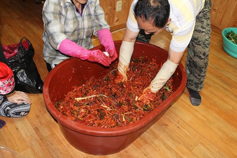 man and woman fermenting big batch of kimchi in big container