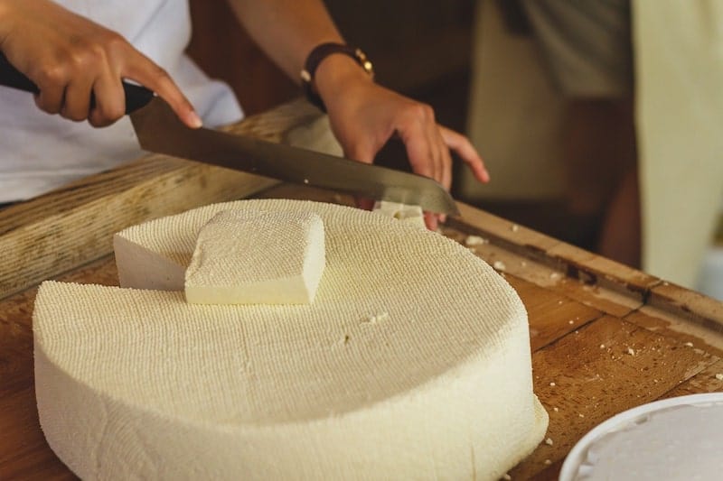 immersion circulator for cheese making