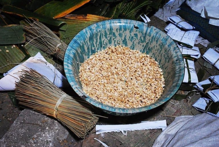 What Is Tempeh Starter? (Solved!) Home Kitchen Talk