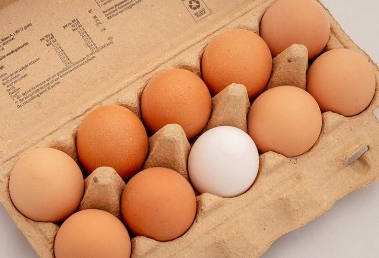 Why Are My Brown Eggs Turning White? (Explained!) Home Kitchen Talk