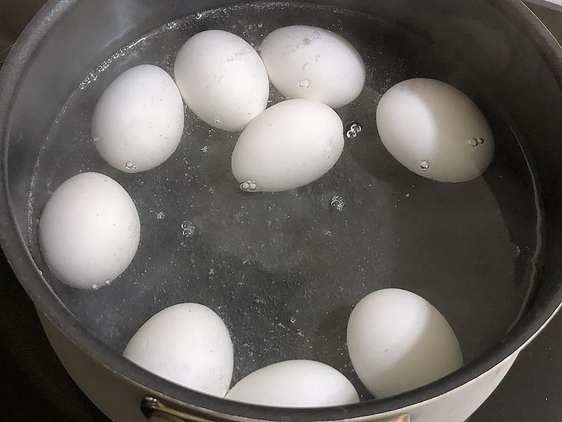 boiled eggs float