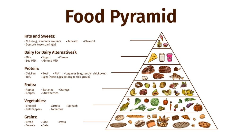 Food Pyramid