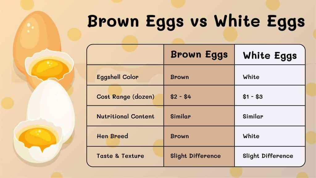 Brown Eggs vs White Eggs